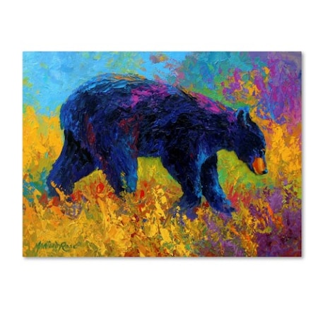 Marion Rose 'Young Restless II Black Bear Big' Canvas Art,18x24